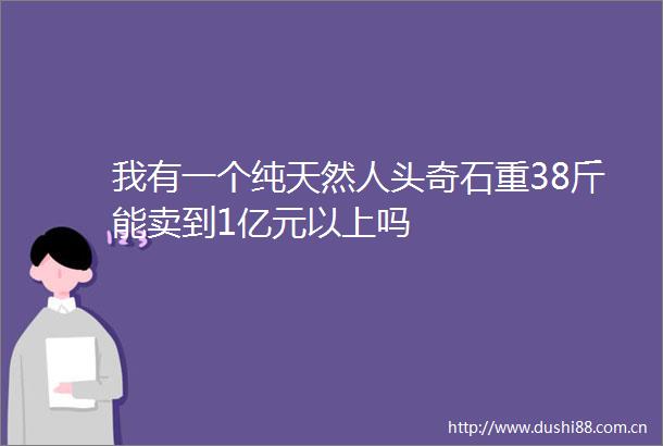 我有一个纯天然人头奇石重38斤能卖到1亿元以上吗