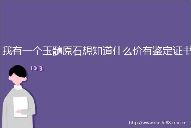 我有一个玉髓原石想知道什么价有鉴定证书