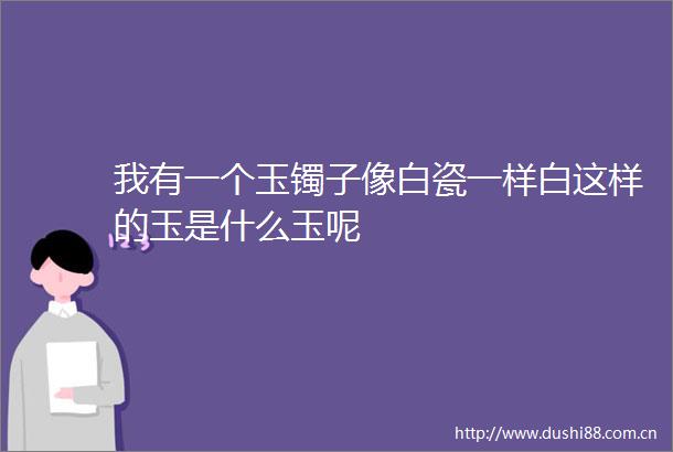 我有一个玉镯子像白瓷一样白这样的玉是什么玉呢
