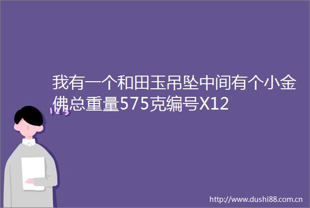 我有一个和田玉吊坠中间有个小金佛总重量575克编号X12
