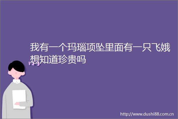我有一个玛瑙项坠里面有一只飞娥想知道珍贵吗