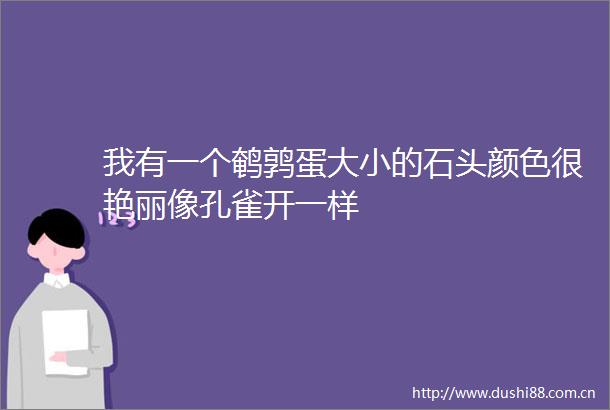 我有一个鹌鹑蛋大小的石头颜色很艳丽像孔雀开一样