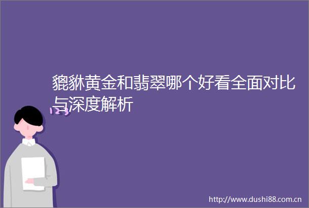 貔貅黄金和翡翠哪个好看全面对比与深度解析