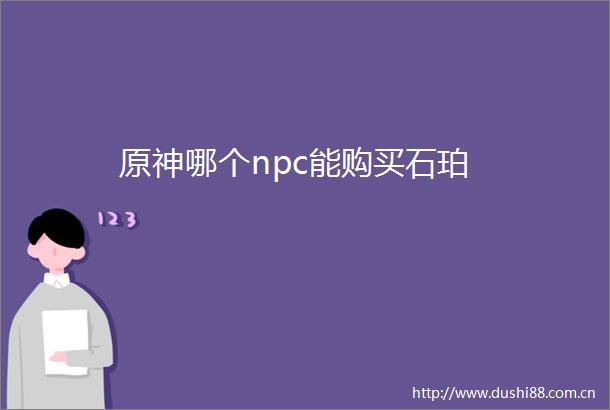 原神哪个npc能购买石珀