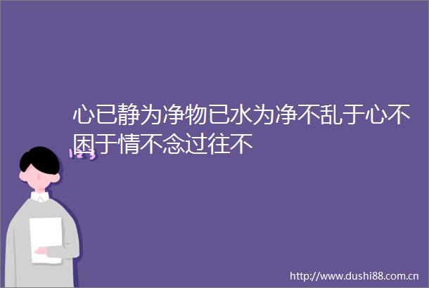 心已静为净物已水为净不乱于心不困于情不念过往不