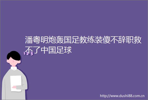 潘粤明炮轰国足教练装傻不辞职救不了足球