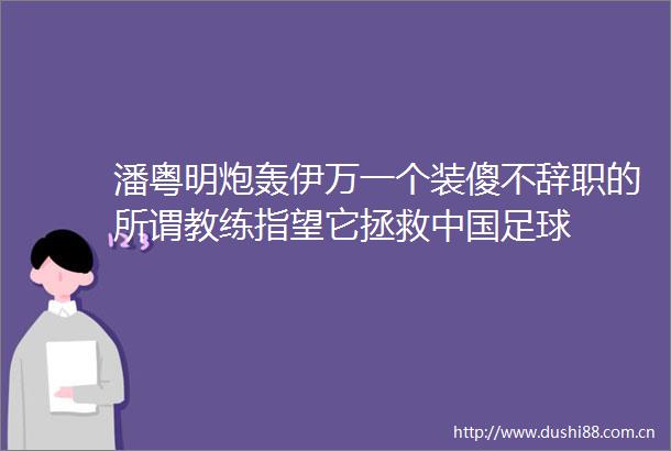 潘粤明炮轰伊万一个装傻不辞职的所谓教练指望它拯救足球