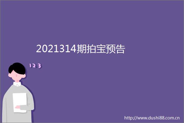 2021314期拍宝预告