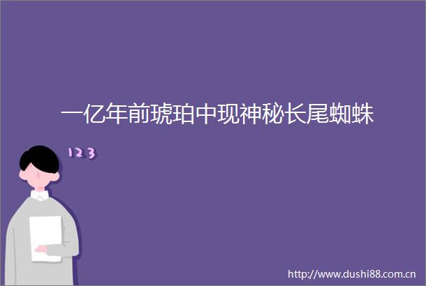 一亿年前琥珀中现神秘长尾蜘蛛