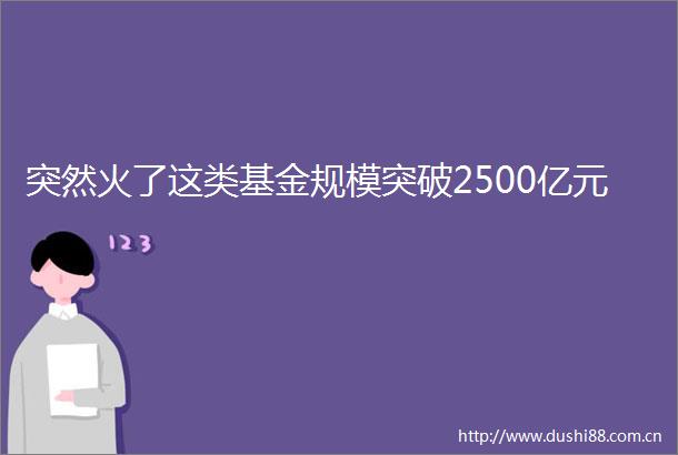 突然火了这类基金规模突破2500亿元