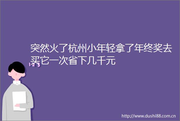 突然火了杭州小年轻拿了年终奖去买它一次省下几千元