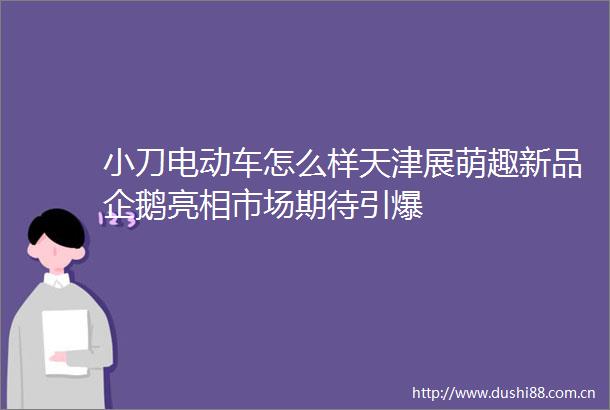 小刀电动车怎么样天津展萌趣新品企鹅亮相市场期待引爆