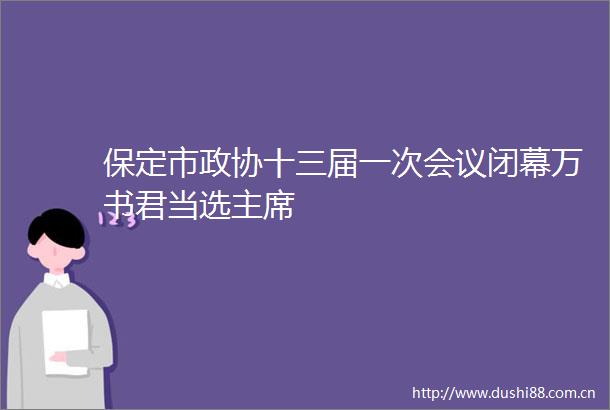 保定市政协十三届一次会议闭幕万书君当选