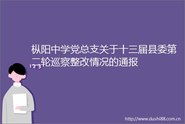 枞阳中学党总支关于十三届县委第二轮巡察整改情况的通报
