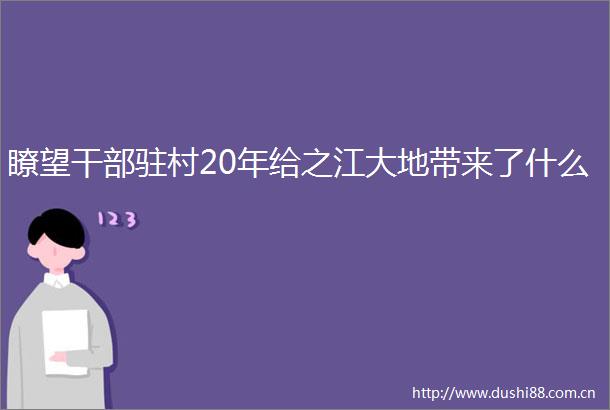 瞭望驻村20年给之江大地带来了什么