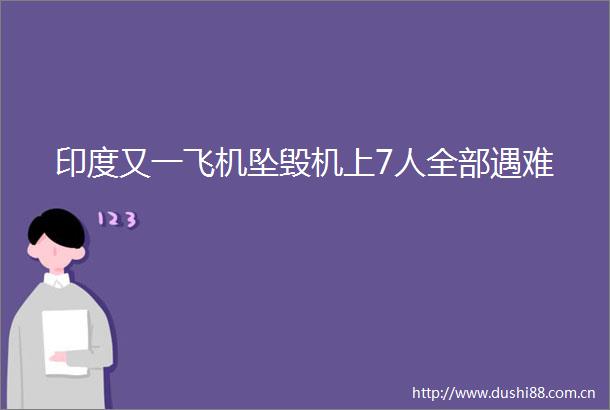 印度又一飞机坠毁机上7人全部遇难