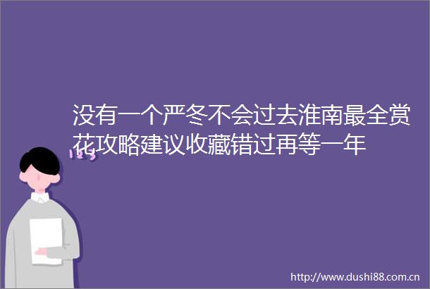 没有一个严冬不会过去淮南最全赏花攻略建议收藏错过再等一年