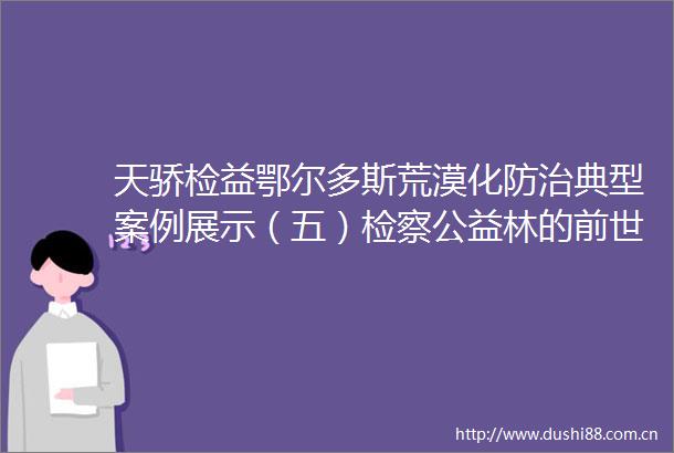 天骄检益鄂尔多斯荒漠化防治典型案例展示（五）检察公益林的前世今生