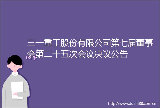 三一重工股份有限公司第七届董事会第二十五次会议决议公告