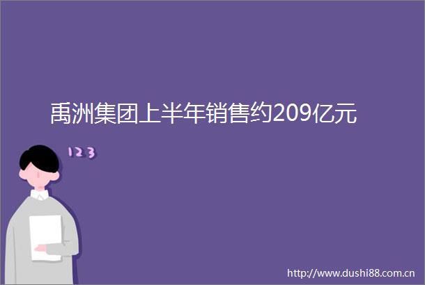 禹洲集团上半年销售约209亿元