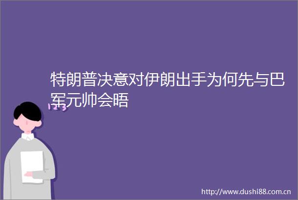 特朗普决意对伊朗出手为何先与巴军元帅会晤