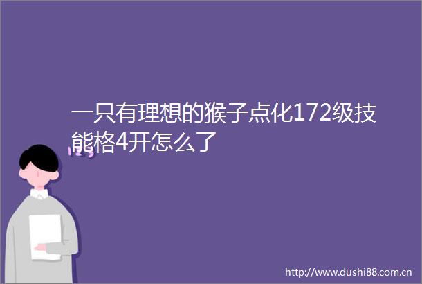 一只有理想的猴子点化172级技能格4开怎么了