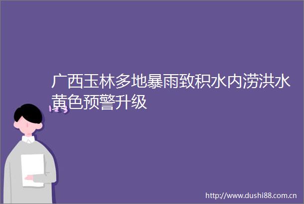 广西玉林多地暴雨致积水内涝洪水黄色预警升级