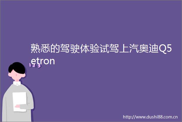 熟悉的驾驶体验试驾上汽奥迪Q5etron