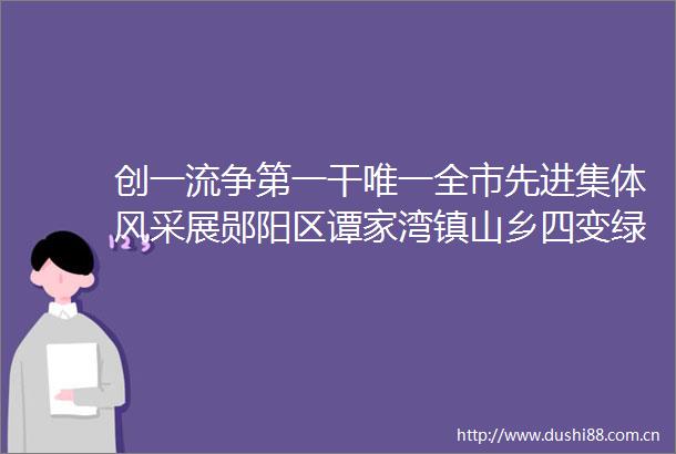 创一流争第一干唯一全市先进集体风采展郧阳区谭家湾镇山乡四变绿富同兴