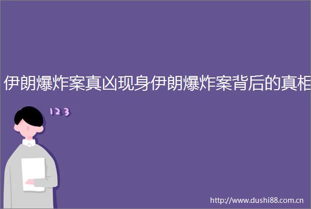 伊朗案真凶现身伊朗案背后的真相