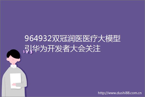 964932双冠润医医疗大模型引华为开发者大会关注