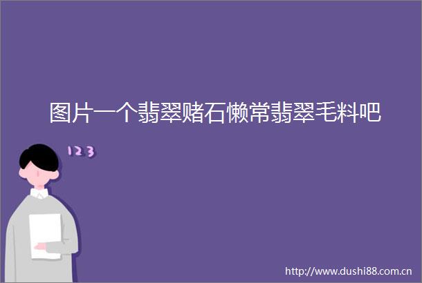 图片一个翡翠赌石懒常翡翠毛料吧