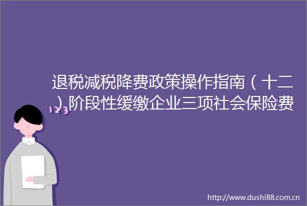 退税减税降费政策操作指南（十二）阶段性缓缴企业三项社会保险费政策