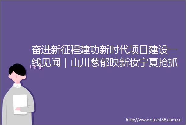 奋进新征程建功新时代项目建设一线见闻｜山川葱郁映新妆宁夏抢抓重大政策机遇扩大有效投资提升投资质效