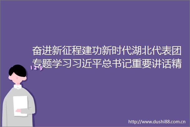 奋进新征程建功新时代湖北代表团专题学习总书记重要讲话精神