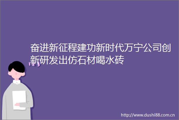 奋进新征程建功新时代万宁公司创新研发出仿石材喝水砖