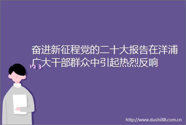奋进新征程党的二十大报告在洋浦广大群众中引起热烈反响