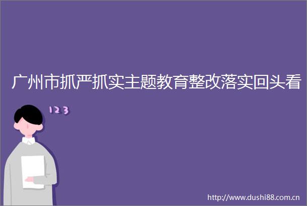 广州市抓严抓实主题教育整改落实回头看