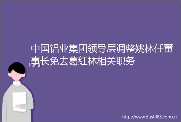 铝业集团层调整姚林任董事长免去葛红林相关职务