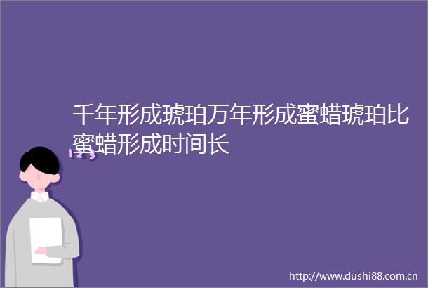 千年形成琥珀万年形成蜜蜡琥珀比蜜蜡形成时间长