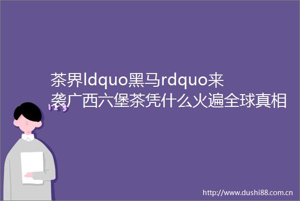 茶界ldquo黑马rdquo来袭广西六堡茶凭什么火遍全球真相让人震惊