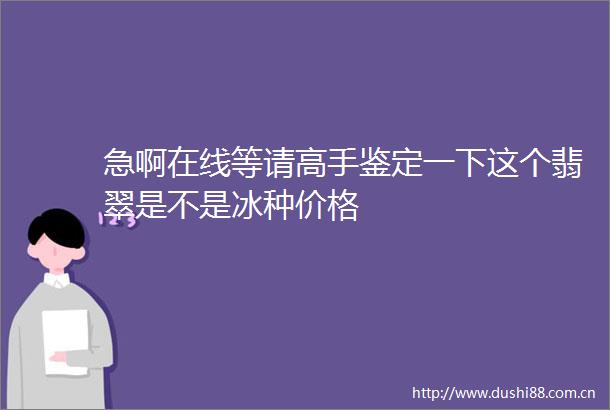急啊在线等请高手鉴定一下这个翡翠是不是冰种价格