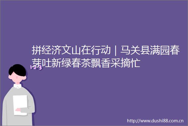 拼经济文山在行动｜马关县满园春芽吐新绿春茶飘香采摘忙