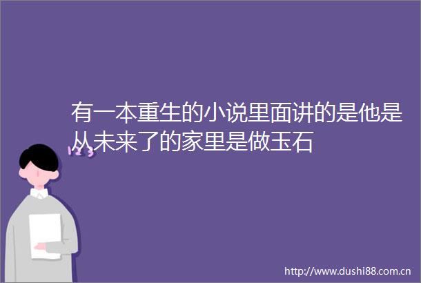 有一本重生的小说里面讲的是他是从未来了的家里是做玉石