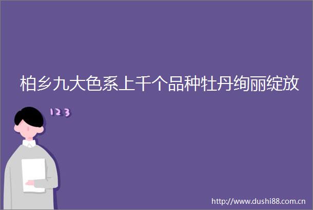 柏乡九大色系上千个品种牡丹绚丽绽放