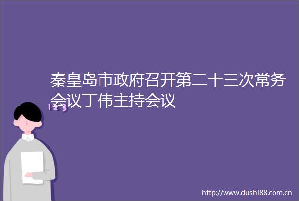 秦皇岛市召开第二十三次常务会议丁伟主持会议