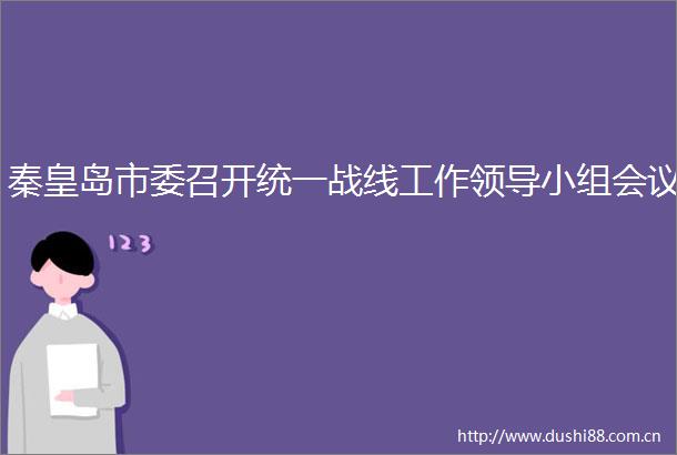 秦皇岛市委召开统一战线工作小组会议