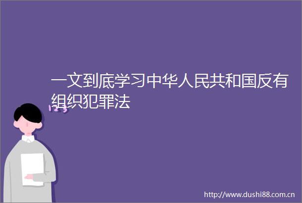一文到底学习中华共和国反有组织法