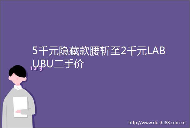5千元隐藏款腰斩至2千元LABUBU二手价