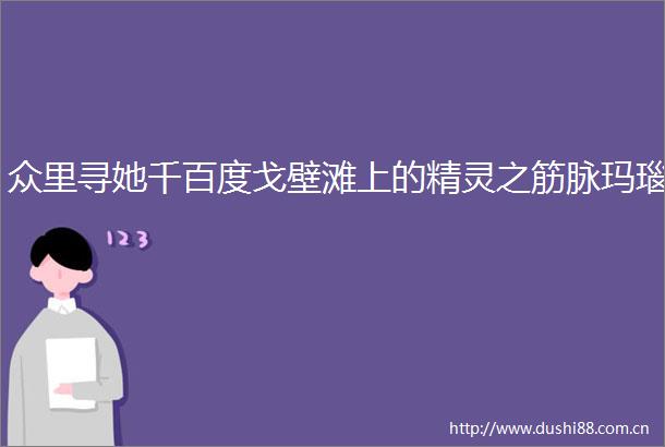 众里寻她千百度戈壁滩上的精灵之筋脉玛瑙